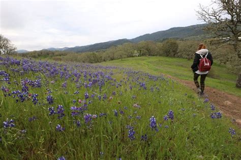 Top 5 Sonoma Valley Hikes