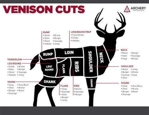 Venison Meat Cuts Chart