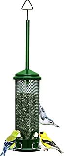 No Rats Allowed: Reviewing the Best Rat-Proof Bird Feeders