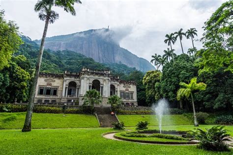 Tijuca Forest and Botanical Garden Expedition - Welcome to Rio De Janeiro, Home of the Christ ...