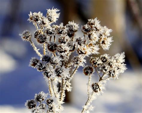 The Retirement Chronicles: Hoarfrost: Part THREE