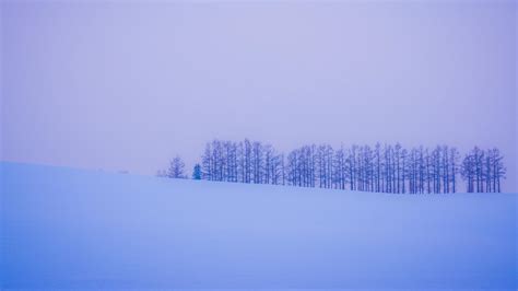 Minimalist Winter Desktop Wallpapers - Wallpaper Cave