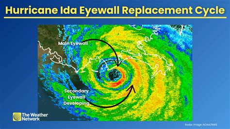 A hurricane can explode in size after shedding its own eye - The Weather Network