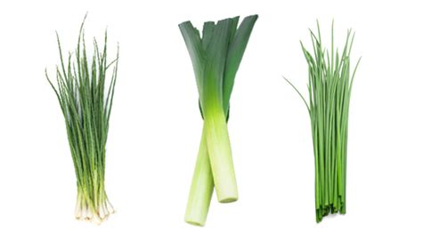 Leek | 🔥Leek Definition & Meaning