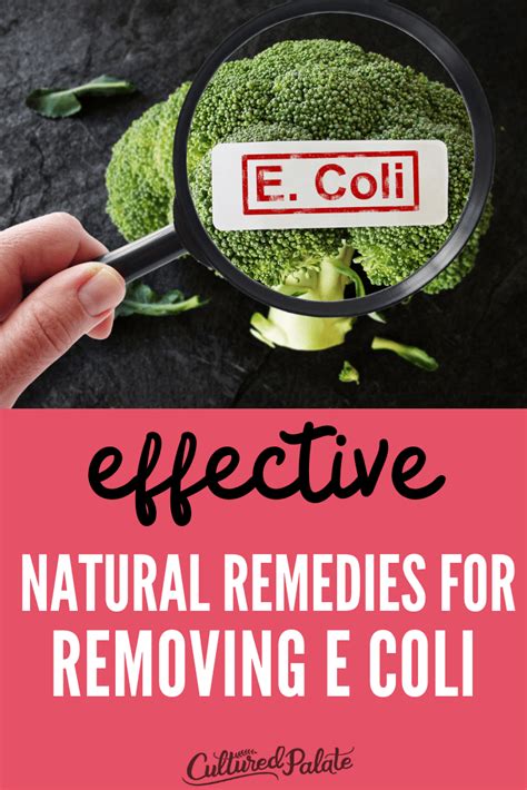 Natural Remedies for E. Coli do exist and can be used effectively ...