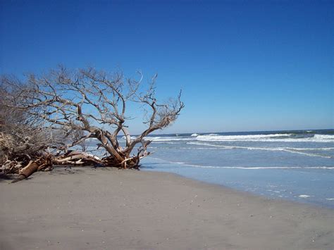 Welcome to Florida State Parks | Florida state parks, Cool places to ...