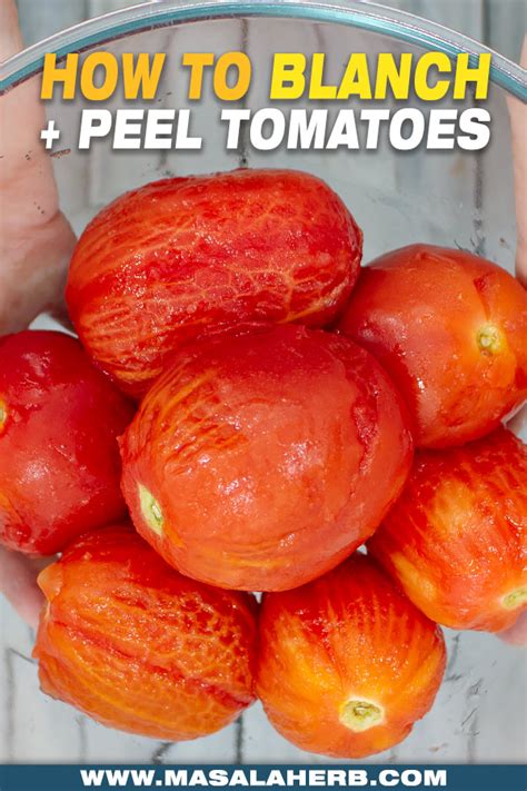 How to blanch Tomatoes to peel | MasalaHerb.com