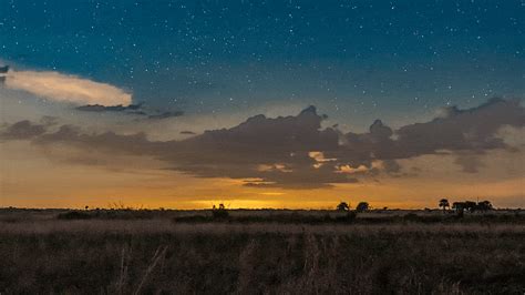 Shooting for the stars at Kissimmee Prairie Preserve