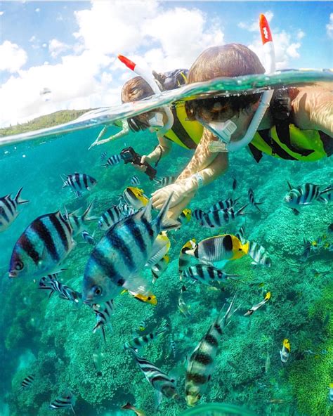 Nassau Bahamas Snorkeling