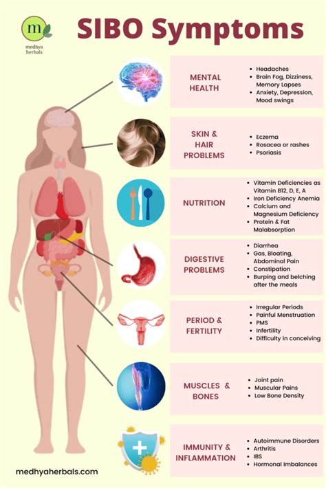 Ayurvedic Treatment for SIBO: Restore Your Gut Health