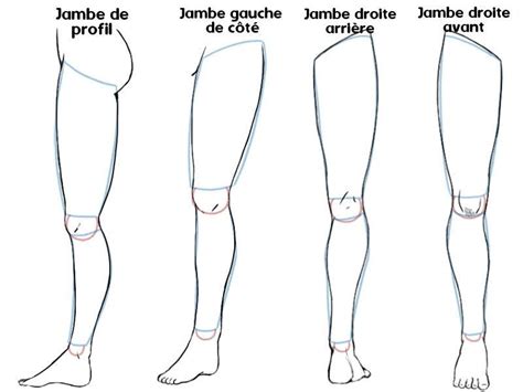 Les Cours Mangas d'Inari Sensei : Tutoriel Manga: Les bases pour dessiner les jambes | Tutoriel ...