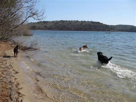 Nickerson State Park | Long-Dangerous Tails