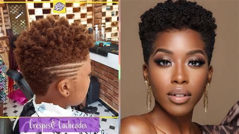 Wendy's Recommended Cute Big Chop, Tapered & Short Hairstyles Ideas for ...