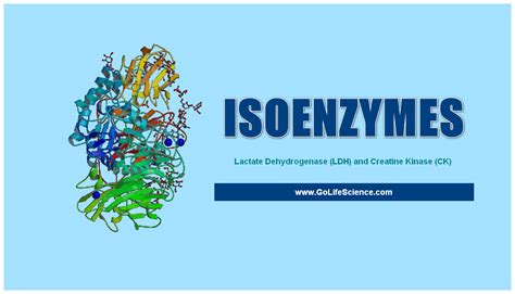 Isoenzymes are Special Proteins with Catalytic activity Why?