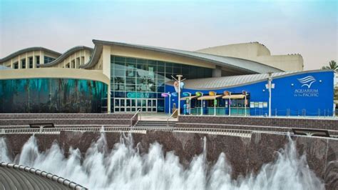 Aquarium of the Pacific – Long Beach, CA Nightlife