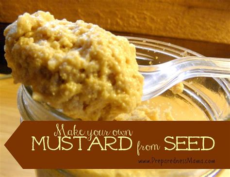 Homemade Mustard from Seeds or Powder - PreparednessMama