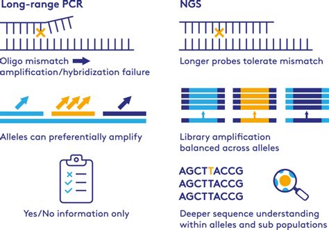 HLA Genotyping | PathoQuest