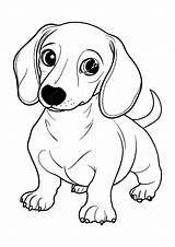Premium Vector  Dachshund Coloring Page Line Art sketch template