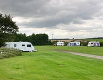 Campsites in Northumberland near Dog Friendly Beaches