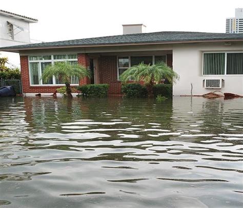 Cleaning Your Home After Flood Damage In Tampa From A Hurricane ...