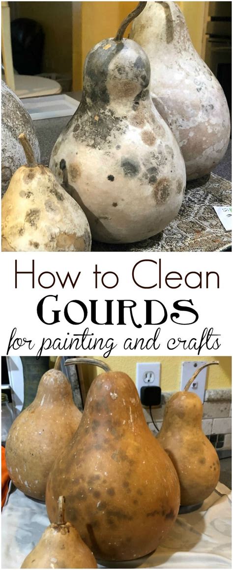 Drying and cleaning gourds for for painting or crafting projects is easy to do yourself at home ...