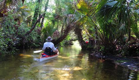 Juniper Spring FL with the F1430 Sit on Top | Kayaking, Juniper springs, Sit on top