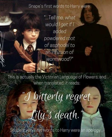 Quotes Harry Potter Sad | the quotes