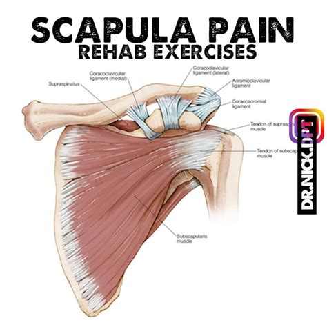 Pin on Upper Body Strength Training