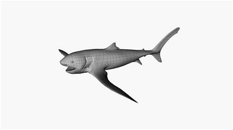 3D Eagle Shark Aquilolamna Milarcae Fossil And Reconstruction Set Model - TurboSquid 1716979