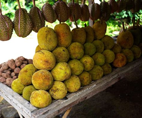 What is Marang Fruit ? An interesting tropical fruit - Yummy Kitchen