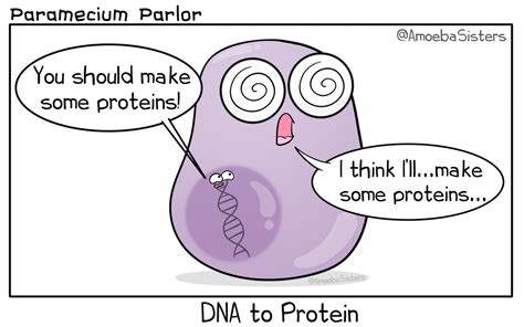 Paramecium Parlor Comics