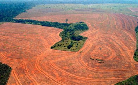 Devastating photos of the world's deforestation