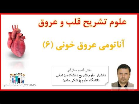 جلسه هشتم (6) : آناتومی عروق خونی | آموزش جامع علوم تشریح (آناتومی) قلب و عروق - YouTube