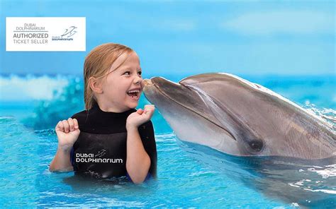 Dubai Dolphinarium: Swimming With Dolphins Dubai Tickets | Headout