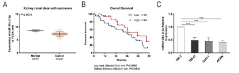 miR-30c-2-3p expression in RCC cells. (A) The TCGA database was used to... | Download Scientific ...