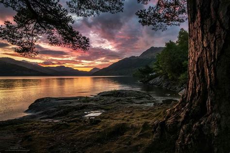 Rowardennan, Loch Lomond | Loch lomond, Loch lomond scotland, National parks