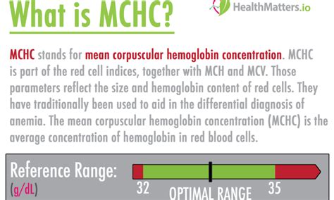 What the heck is MCHC?