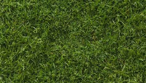 Happy Earth Day! | Grass textures, Artificial grass, Grass background