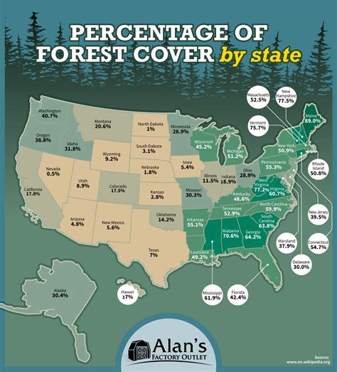 The Great Open Outdoors: State-Wise Forest Cover in USA - Infographic