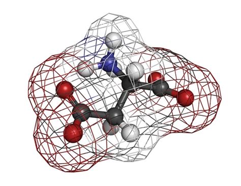 What is Aspartic Acid?