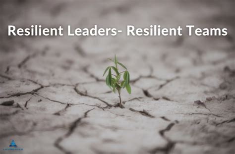 Resilient Leaders- Resilient Teams - Chambers Bay Institute