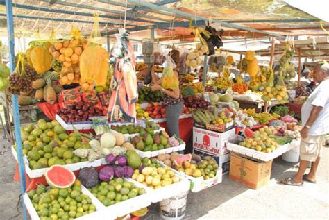 Global tropical fruit market a compelling reason to keep faith with agriculture – Stabroek News