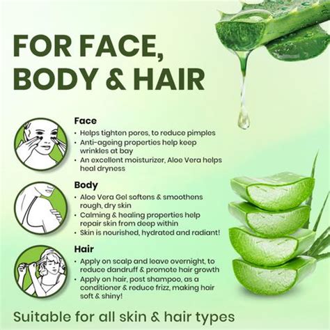 Buy Boroplus 100% Organic Aloe Vera Gel With Vitamin E, For Face, Body & Hair, Paraben ...