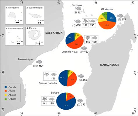 6 Comparison of benthic cover (coral, algae, abiotic, and "others") and ...