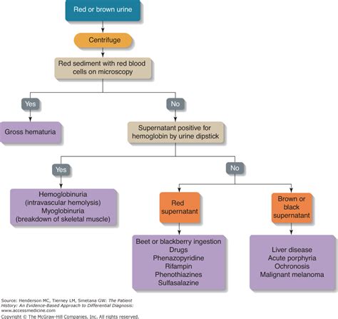 Chapter 41. Hematuria | The Patient History: An Evidence-Based Approach ...