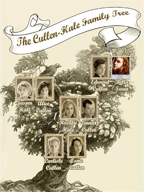 TWILIGHT SÁGA: CULLENS FAMILY TREE