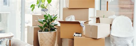 Moving Made Easier: Essential Storage Tips for a Smooth Transition to ...