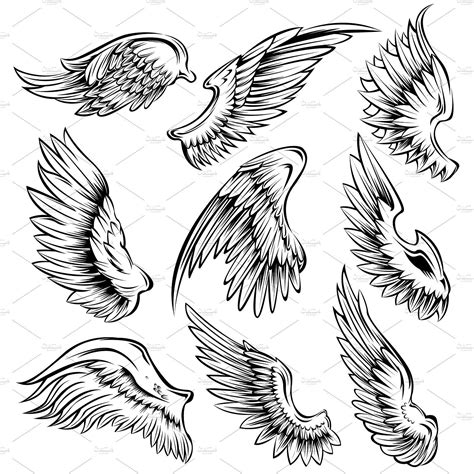 Bird Wings Black White Set | Wings tattoo, Wings sketch, Bird wings