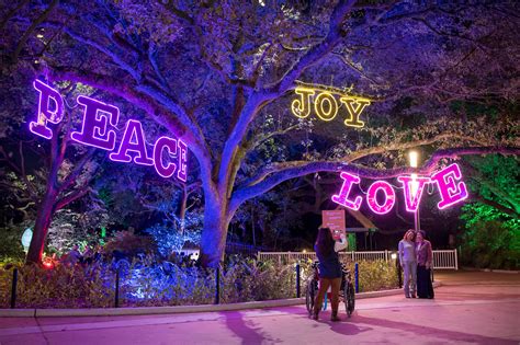 Houston Zoo gearing up for annual Zoo Lights holiday events – Houston Public Media