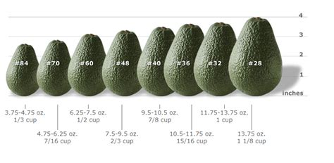 GROWERS - McDaniel Avocado Company